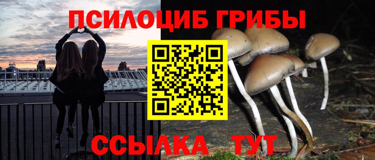 Псилоцибиновые грибы Cubensis  Псилоцибиновые грибы мицелий  Вход с VPN  Ртищево 