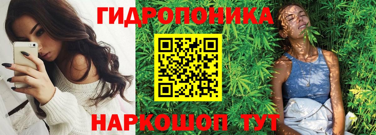 Бошки марихуана гибрид Ртищево